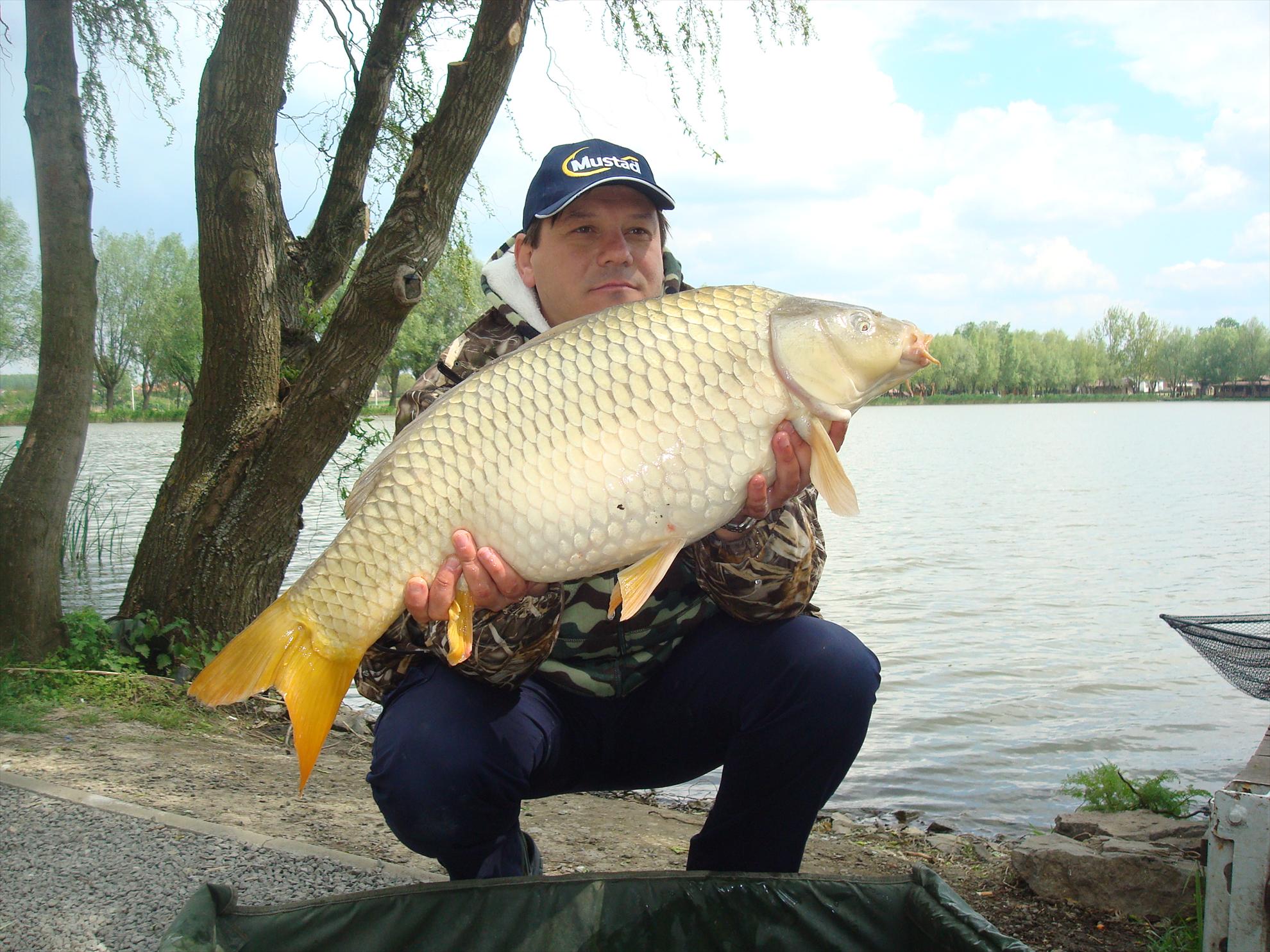 pescuit pe o balta superba - dsc07423.JPG